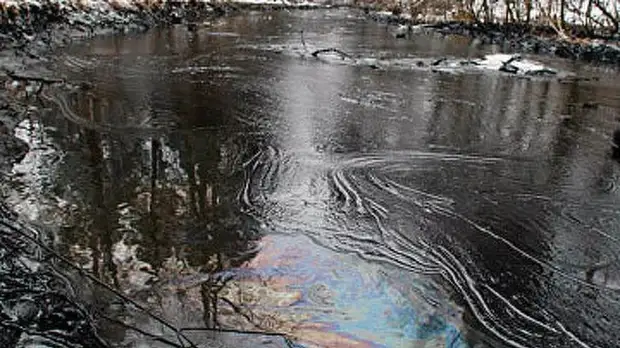 Власти оценили сроки ликвидации последствий разлива мазута в Находке