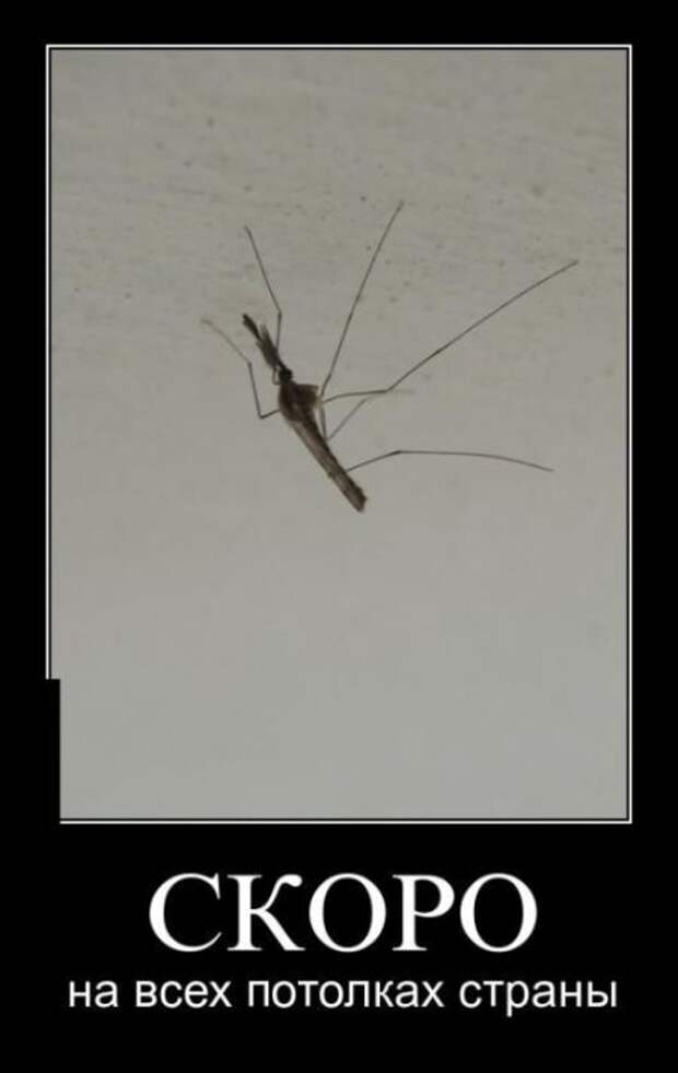 Демотиваторы (30 фото) Демотиваторы (30 фото)