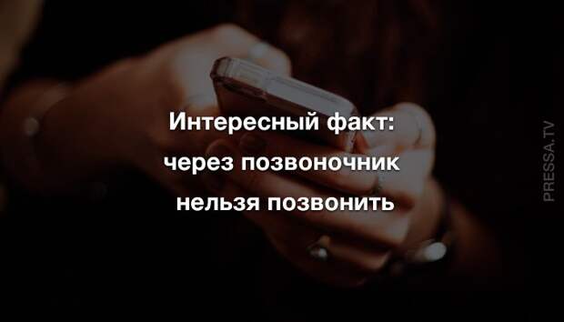 Анекдоты субботы и позвоночник