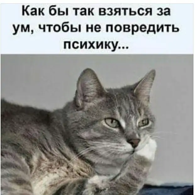 Уроки выучены… Родители охрипшие, дети оглохшие… Уроки выучены… Родители охрипшие, дети оглохшие… говорит, спрашивает, одной, Мойша, мальчик, отвечает, Учитель, Мальчик, подряд, Миллионера, после, участковый, Мадам, школу, домой, зовут, месте, Мухамед, Конечно, такие