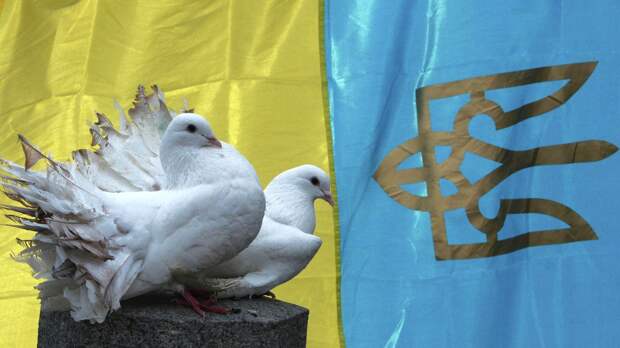 "Вот те на, расхрюкались": Украина не посмела ответить на оскорбление МВФ