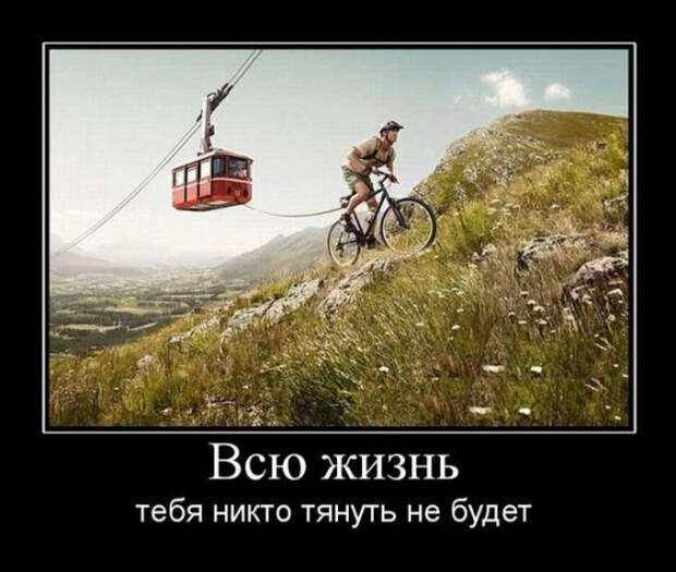 Веселая подборка свежих демотиваторов. Лучшие приколы