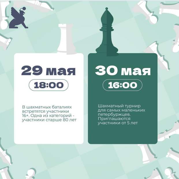 Сезон летних шахматных турниров в Центральном районе откроется 29 мая