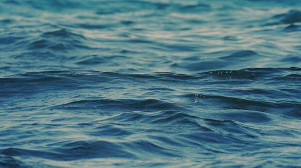 В Чёрном море нет подтвержденных пятен мазута