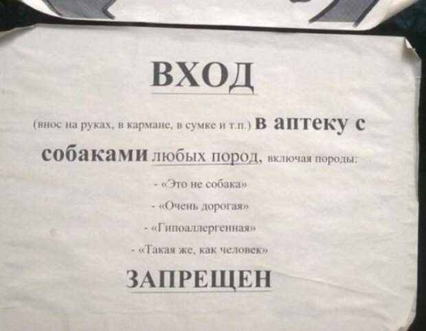 Креативные российские запреты и объявления (13 фото)