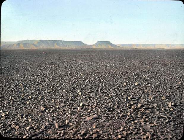 Ветра иссушают плато северного Алжира . Ветра иссушают плато северного Алжира .