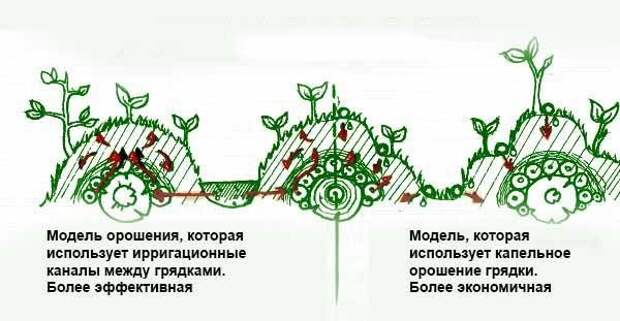Как сделать высокие грядки: 100 полезных идей Как сделать высокие грядки: 100 полезных идей