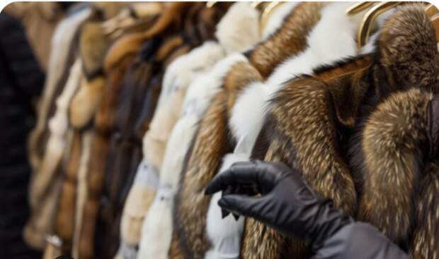 Маркетплейс стал жертвой хитрой схемы: на Кубани поймана крупная мошенница