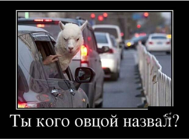 Веселые истории о нас (очередной выпуск)