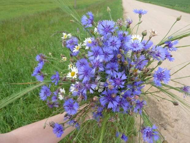 clip_image090