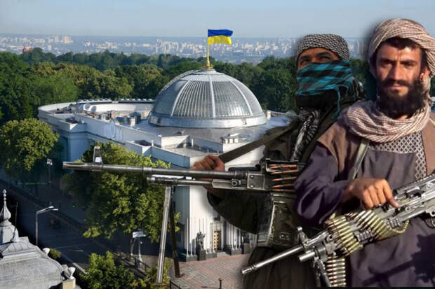 Как Украина на словах и на деле поддерживает терроризм