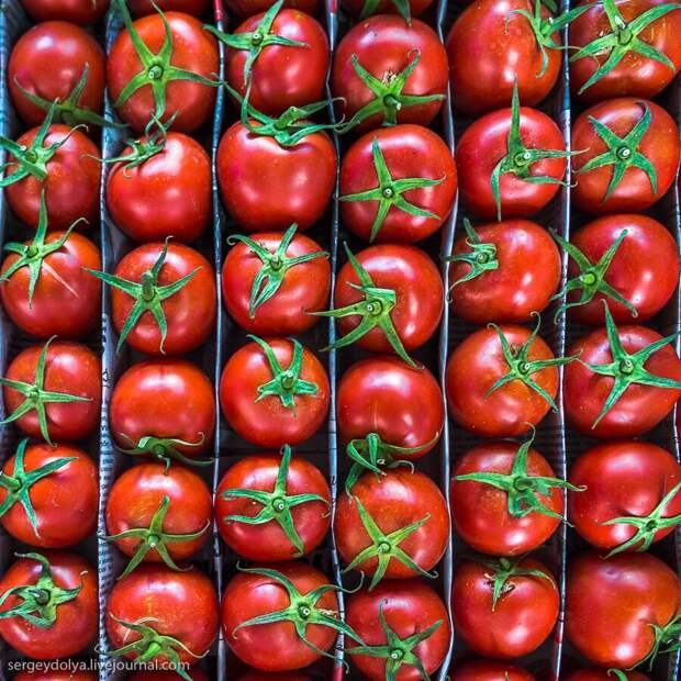 Азербайджанская кухня
