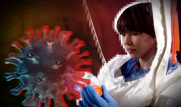 Independent: в Китае учёные создали аналог вируса Эбола с летальностью в 90%