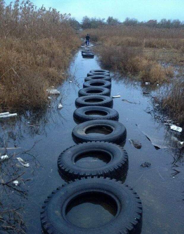 Наша Раша