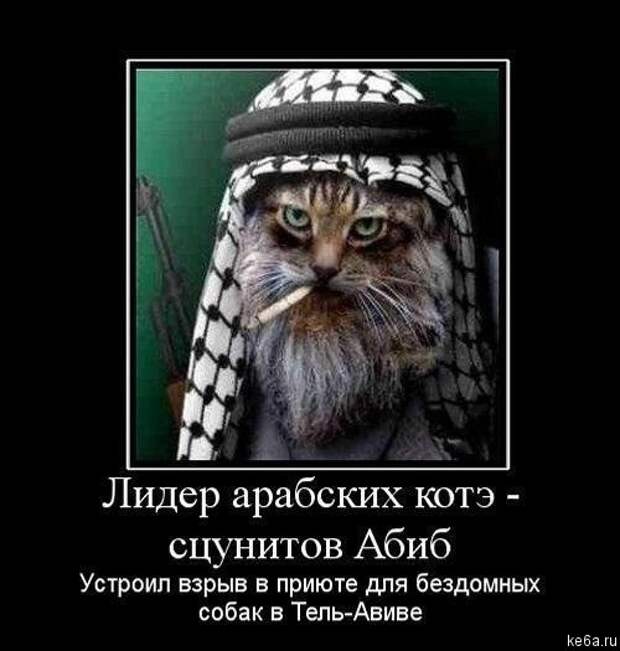 Животным смешно, а вам? (90 фото)
