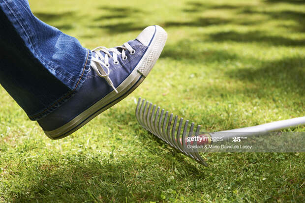 Rake Rake