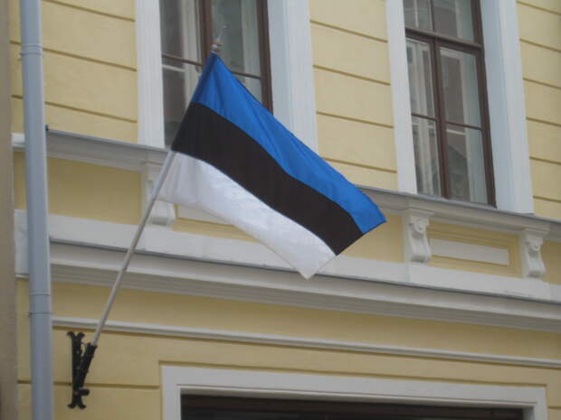 В дипмиссии РФ раскритиковали закон властей Эстонии о российских активах