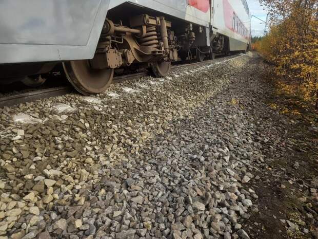 Семь вагонов поезда Челябинск–Москва сошли с рельсов в Ульяновской области