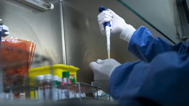 В Севастополе прокомментировали ситуацию с COVID-19