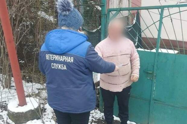 Труп бешеной лисы нашли под Алуштой