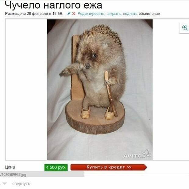 Юмористы и их объявления с Авито Юмористы и их объявления с Авито авито, авто, объявление, покупка, прикол, продажа, шутка, юмор