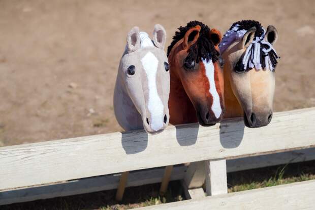 Хоббихорсинг могут включить в государственный словарь русского языка