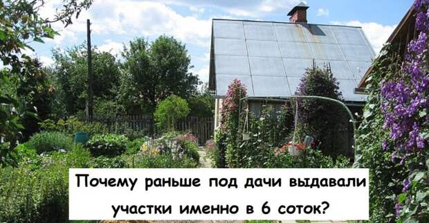 Почему раньше под дачи выдавали участки именно в 6 соток