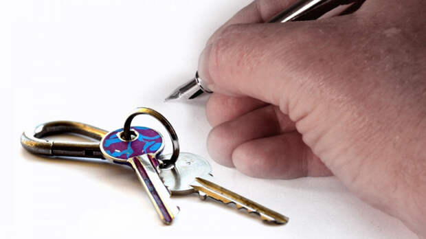 Фото: pxhere.com