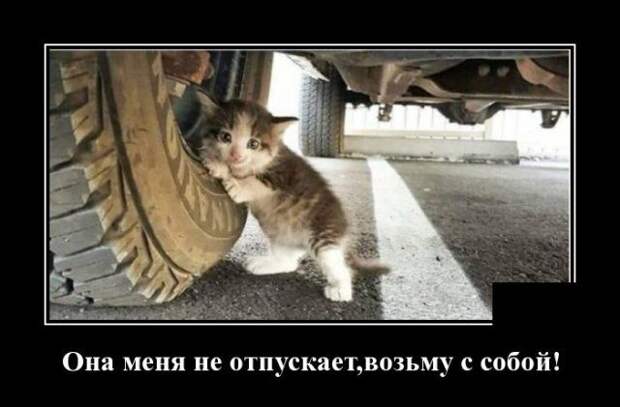 demotivatory-demotivator-smeshnye-demotivatory-demotivator-so-smyslom