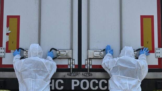 Россия передала Украине более 12 тыс. тел военных с июня 2025 года