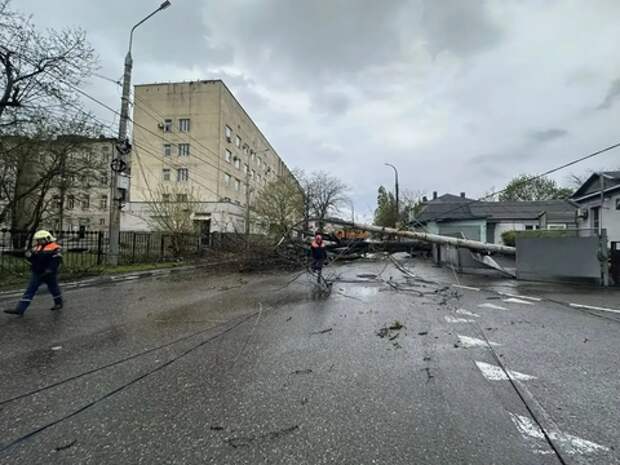 Упали светофоры и дорожные знаки: что натворил сильный ветер в Новороссийске