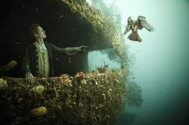 Невероятная фотогалерея на дне моря от Andreas Franke (3)