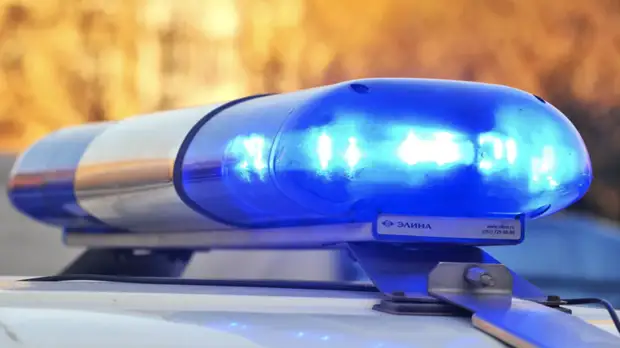 Водитель автомобиля сбил двух пешеходов на переходе в Москве