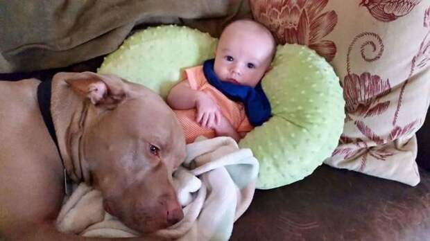 Even If My Son So Much As Cries, He Rushes In To Save His Life. Best Buds