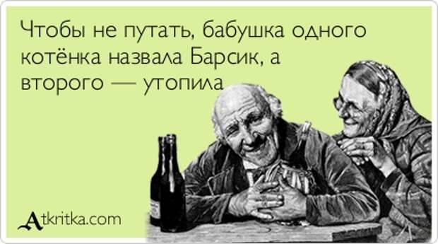 Чтобы не путать, бабушка одного котёнка назвала Барсик, а второго — утопила