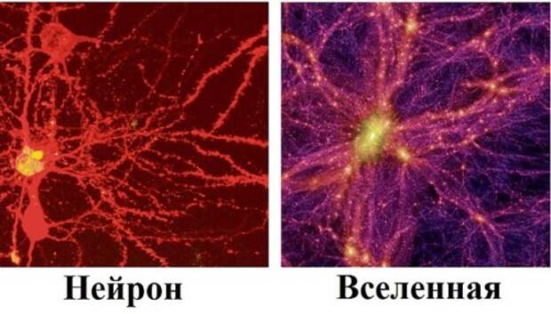 Программист вселенной