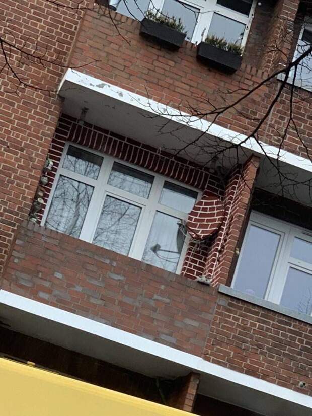 kartinok-prikolnyh-podborka-kartinki-smeshnye-kartinki-fotoprikoly