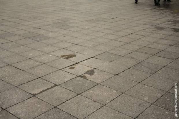 Прогулка по улицам Москвы Москва, прогулка, критика, улица