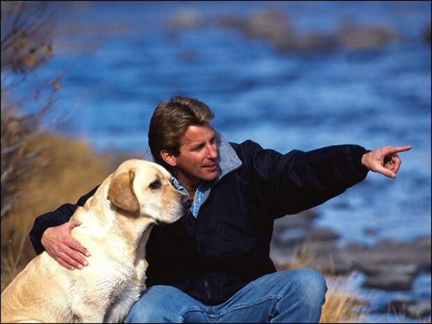 Man's Best Friend Man's Best Friend