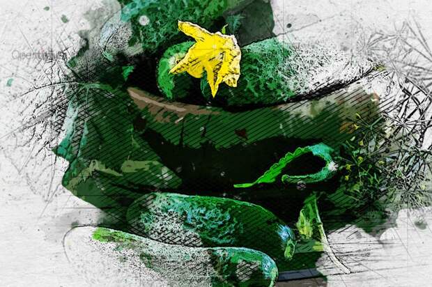 Цены на огурцы в Орловской области приблизились к московским