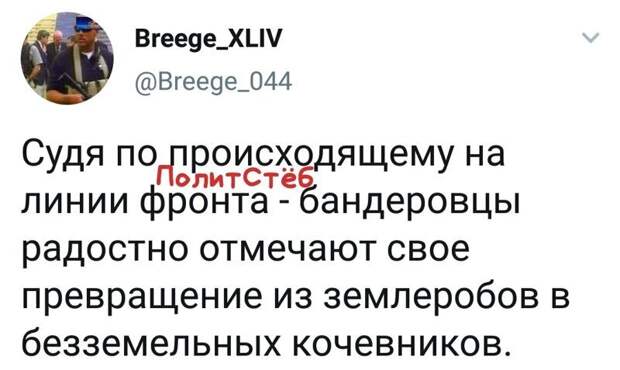 Политические картинки