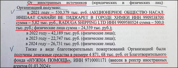 Фрагмент акта проверки фонда Ройзмана* Минюстом // фото документа предоставлены Царьграду источником