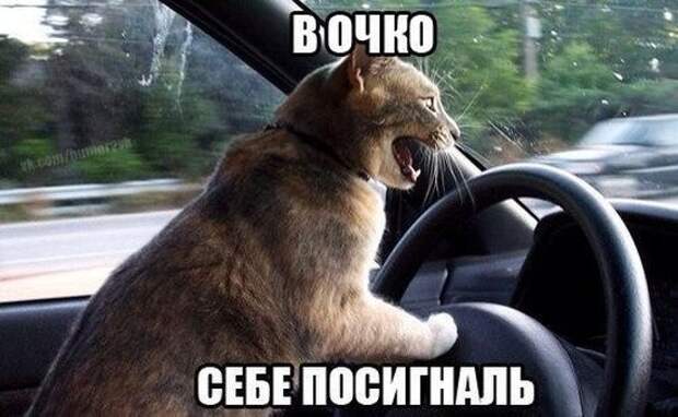 Подборка автоприколов (30 фото) Подборка автоприколов (30 фото)