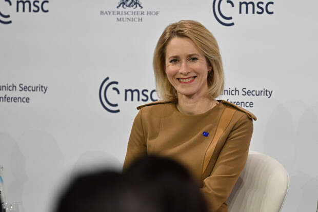 Депутат Журова: Каллас могла счесть "нападением" помощь СССР народам Африки