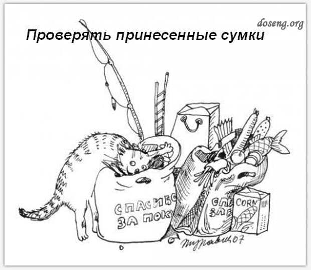 дому-кота-Обязанности-картинки-смешные картинки-фотоприколы