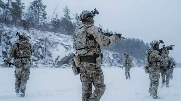 Взвод ССО Украины попал под удар «Торнадо-С» в Харьковской области