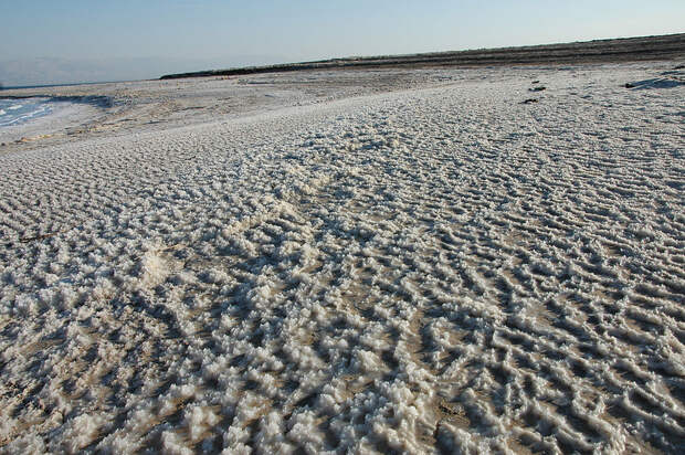 Солончаки Мертвого моря. Израиль. Фото