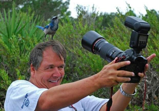 27 сумасшедших фотографов, которые готовы на все ради идеального снимка