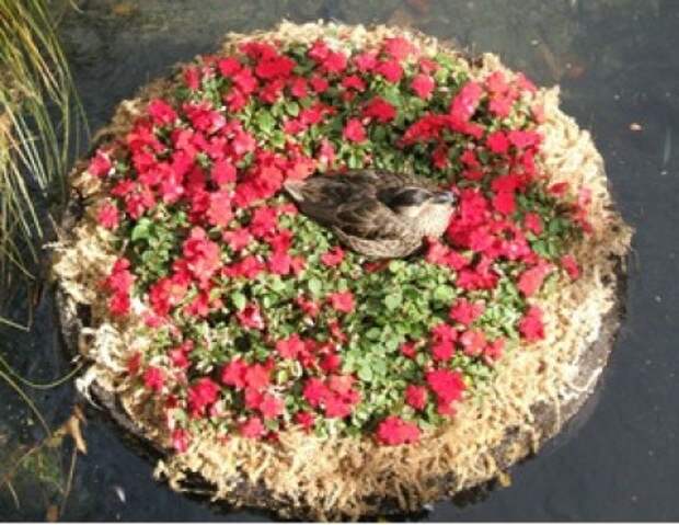 миниатюрная клумба в форме гнезда с керамической птицей 