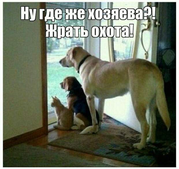 Свежие мемы на сегодня (03.05.2023)